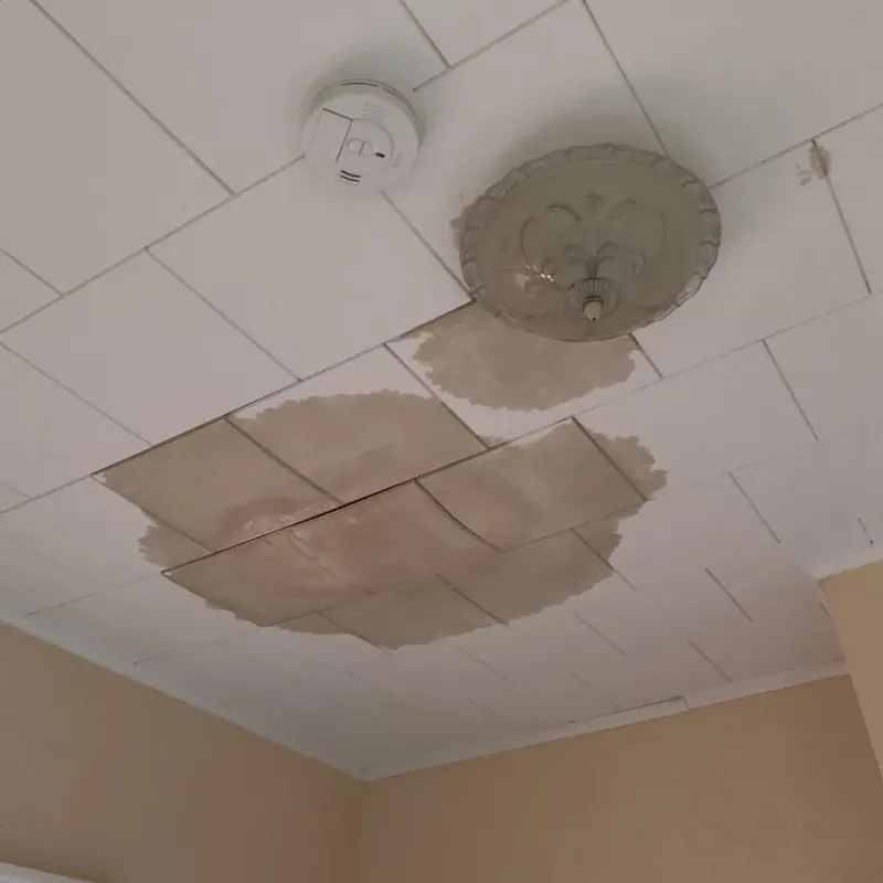 Ceiling Water Damage Repair in Cade, LA